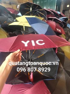 In ô dù tại Đà Nẵng